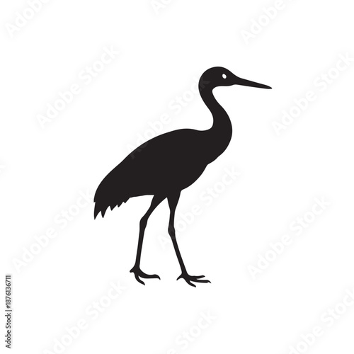 Sandhill Crane Vector Illustration