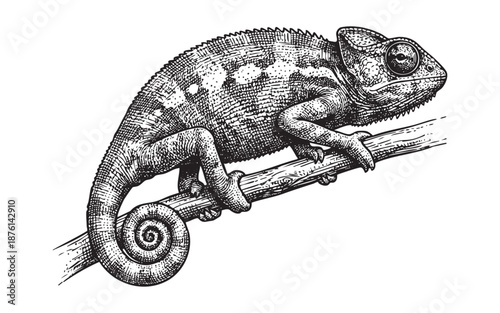 Chameleon on Branch engraving vector illustration