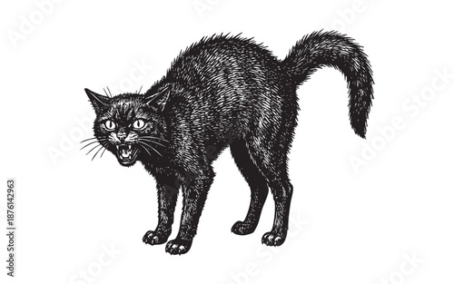 Spooky Hand-Drawn Vintage Black Cat Hissing with Arched Back engraving vector illustration
