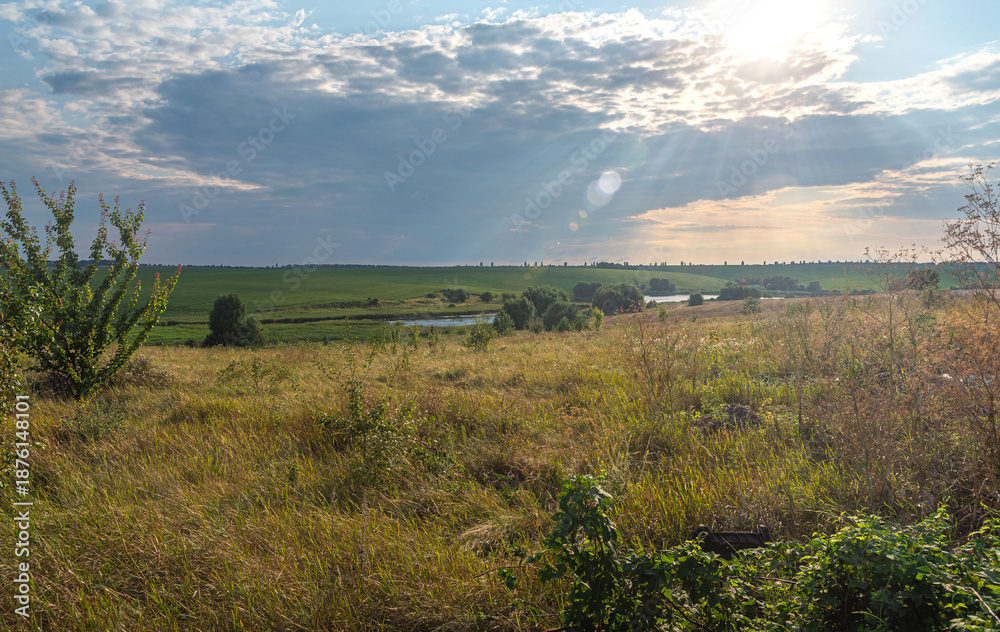 Fototapeta premium Summer landscape