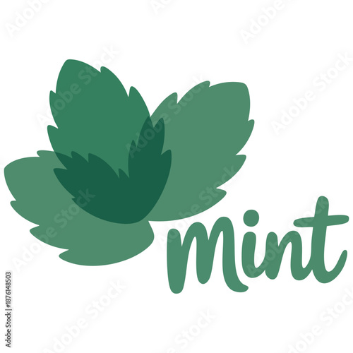 Mint leaves icon set isolated on white background vector graphic