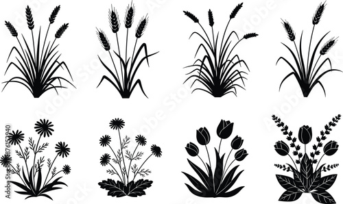 Technical Vector Flat Sketch of a Men's Varsity Bomber Jacket Template Featuring Front Back and Side Views with Ribbed Details