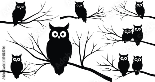 Set of black owl silhouettes perched on tree branches with big eyes isolated on white background for spooky Halloween designs