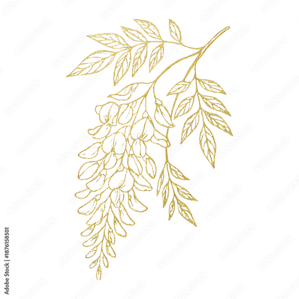 Fototapeta premium PNG Elegant gold floral illustration design.