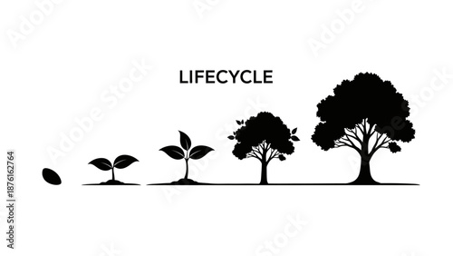 Lifecycle of a Tree from Seed to Maturity Silhouette Illustration.