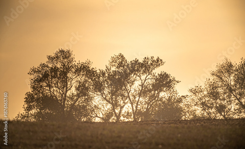 Wallpaper Mural Summer landscape Torontodigital.ca