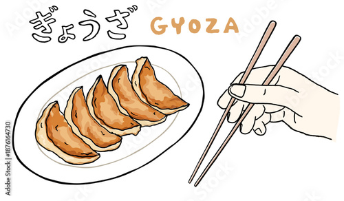 Gyoza and hand holding chopsticks hand drawn illustration vector. Japanese food, handwriting Japanese.	
