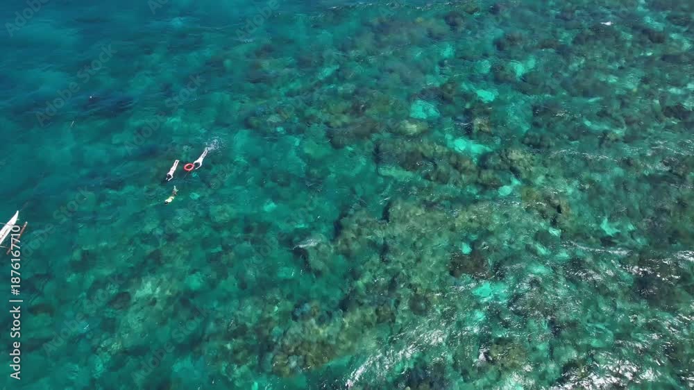custom made wallpaper toronto digitalApo Island from above. Cinematic footage of the best diving spot in the Philippines. 