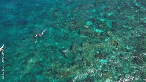 Wallpaper Mural Apo Island from above. Cinematic footage of the best diving spot in the Philippines.  Torontodigital.ca
