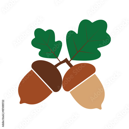 A simple graphic representation of two acorns and three green oak leaves on a white background