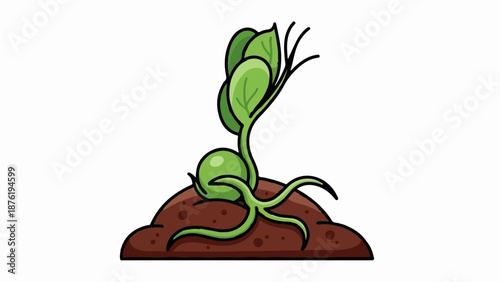 Sprouting seedling with roots and leaves emerges from soil