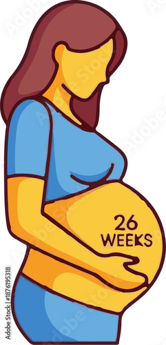Stylized illustration of a pregnant person in profile, showing their belly marked "26 WEEKS.