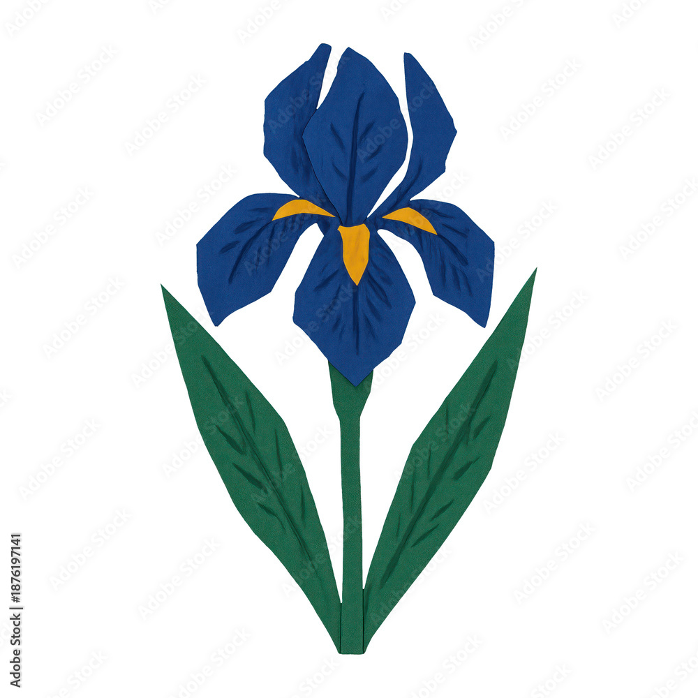 Fototapeta premium PNG Vibrant iris flower illustration