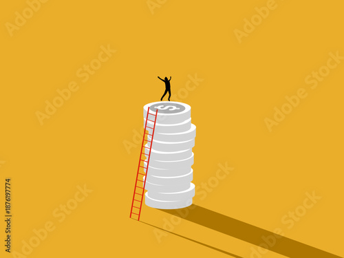 businessman jumped for joy after successfully climbing the ladder to the pile of coins