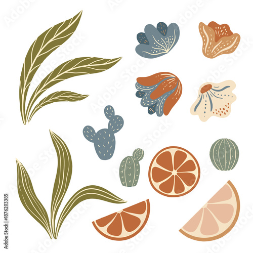 Assorted tropical leaves and citrus fruits illustration on a white background viewed from directly above