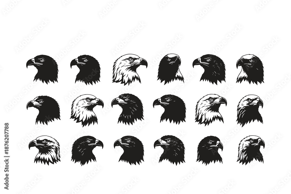Obraz premium collection of various eagle head silhouettes in different poses