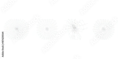 Abstract illustration of spider web structures and a shattered pattern on a white background