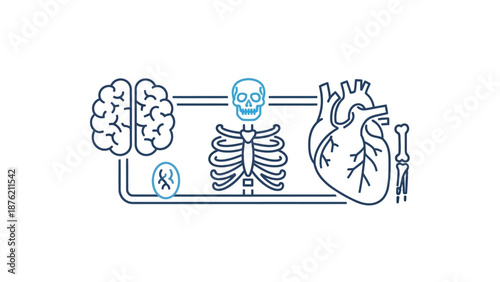 Human Anatomy Outline: Brain, Skeleton, Rib Cage, Heart, and DNA Icons