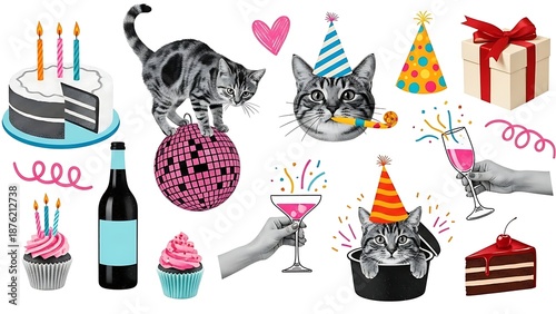 Whimsical Birthday Party Elements Featuring Cats, Cakes, and Drinks.