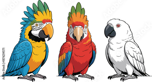 Collection of three vibrant tropical parrots including blue and red macaws and white cockatoo vector