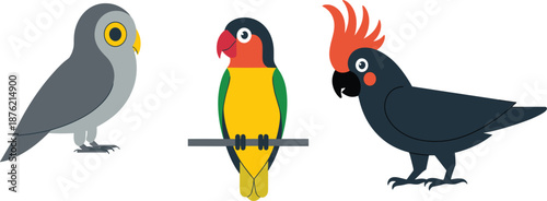 Collection of three colorful flat vector bird icons including a crested oriole and robin species