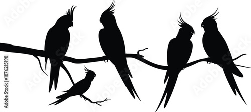 Collection of five black cockatiel bird silhouette icons perched on a wooden branch vector illustration