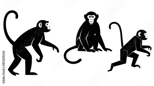 Set of four monkey silhouettes in different styles, clean vector illustrations.
