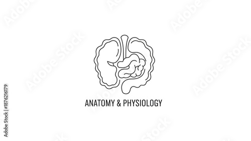 Human Digestive System Anatomy Outline Icon, Intestine, Stomach, Physiology Medical Concept