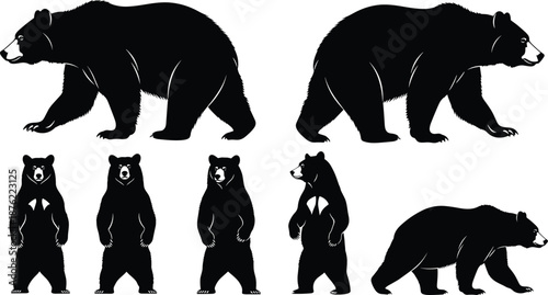 Black bear silhouettes in walking and standing poses, wildlife character set, animal anatomy reference, flat vector illustration