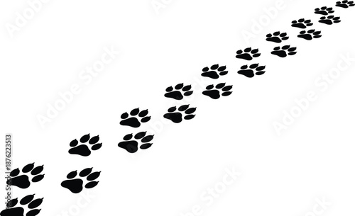 Black animal paw prints trail on white background, domestic cat dog footprint track vector illustration, diagonal walking path silhouette for pet shop design,
