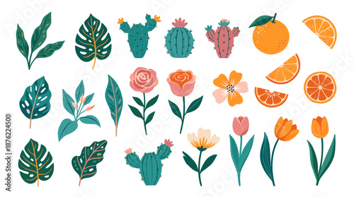 A vibrant collection of flowers, leaves, and citrus fruits arranged in a visually appealing flat design illustration on a clean white background from a direct overhead viewpoint