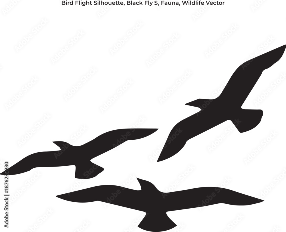 Fototapeta premium flying birds vector illustration