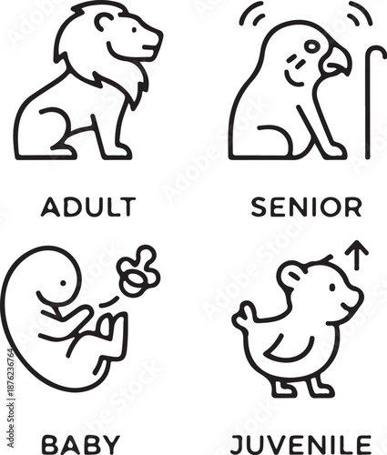 Animal age classification line icons showing baby, juvenile, adult, senior stages using symbolic forms, clean outline vector on white background.