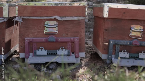 Wooden beehives with metal corners and entrances, surrounded by grass and rocks.