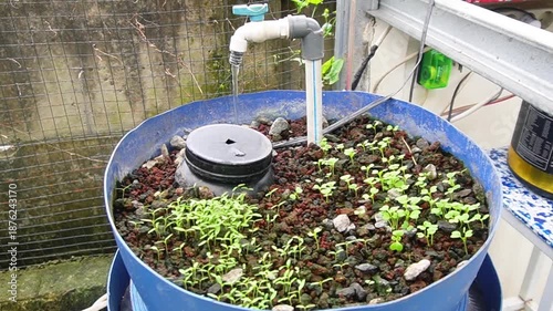 Urban farming practice where vegetables and herbs are grown in city environments, promoting sustainable food production and green living
