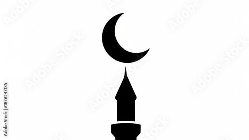 Diverse crowd forms pakistani crescent moon and star symbol on white background