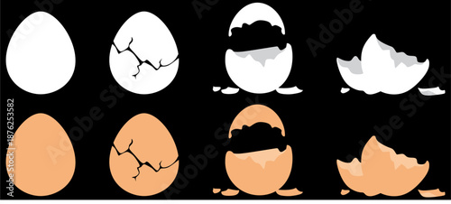 illustration showing the stages of an egg breaking, from whole to fully cracked and shattered. Perfect for cooking, science, or transformation-themed designs. Ideal for educational or creative visual