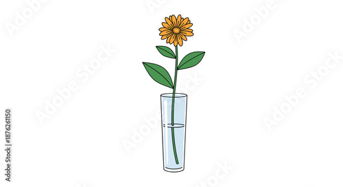Simple illustration of a single yellow or orange flower with green leaves placed in a tall glass vase partially filled with clear water on white.