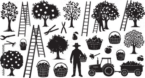 Farmer harvesting apples from trees with tractor and ladders