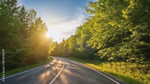Scenic forest road with sunbeams shining through trees on a clear day.
