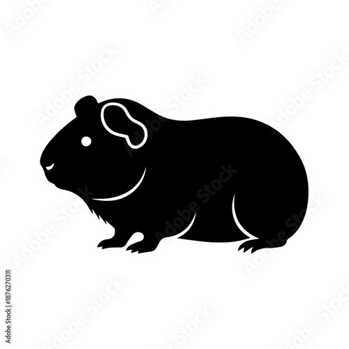 Black guinea pig sitting isolated on white background, Vector