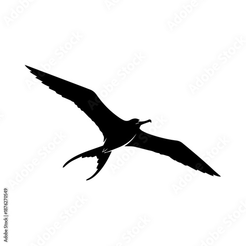 Flying pterodactyl silhouette isolated on white background, Vector