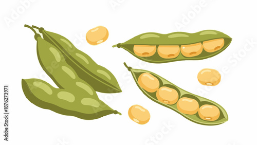 Vibrant illustration of green soybean pods and golden beans on white