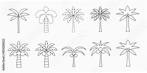 A collection of simple linear drawings depicting various palm tree shapes