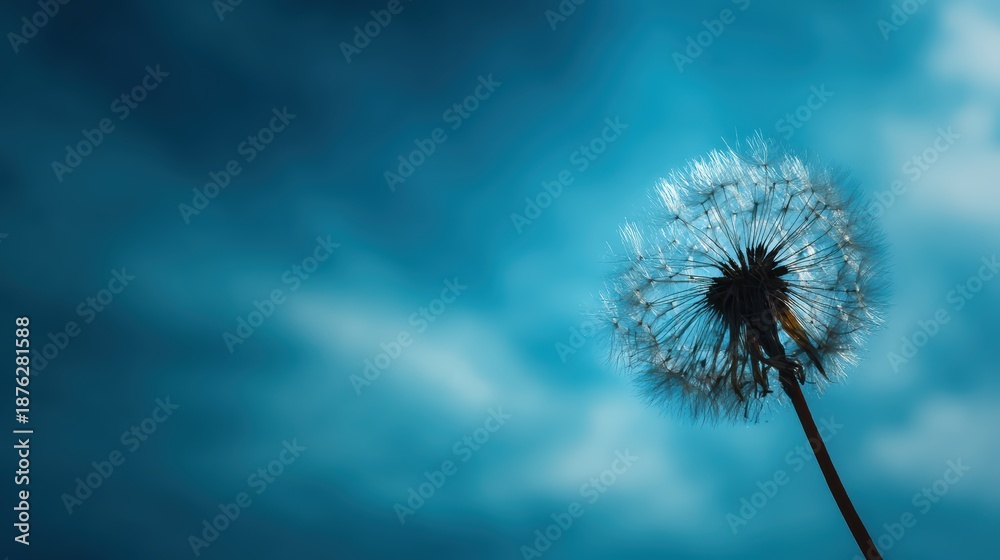 Fototapeta premium Artistic silhouette of a dandelion puff floating against a vibrant blue sky, expressing future goals and aspiration as nature inspired symbolism for personal growth, hope, and new possibilities.