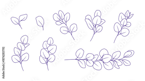 Eucalyptus leaves and stems illustrated in a line art style, set against a white background. This botanical collection includes stylized floral elements .