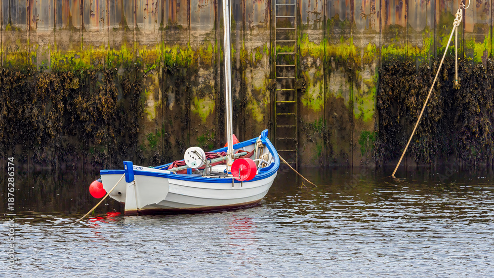 Obraz premium Small boat moored in Helmsdale harbor with green seaweed