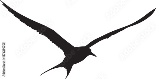 Cuadro en lienzo Tern in silhouette white background.