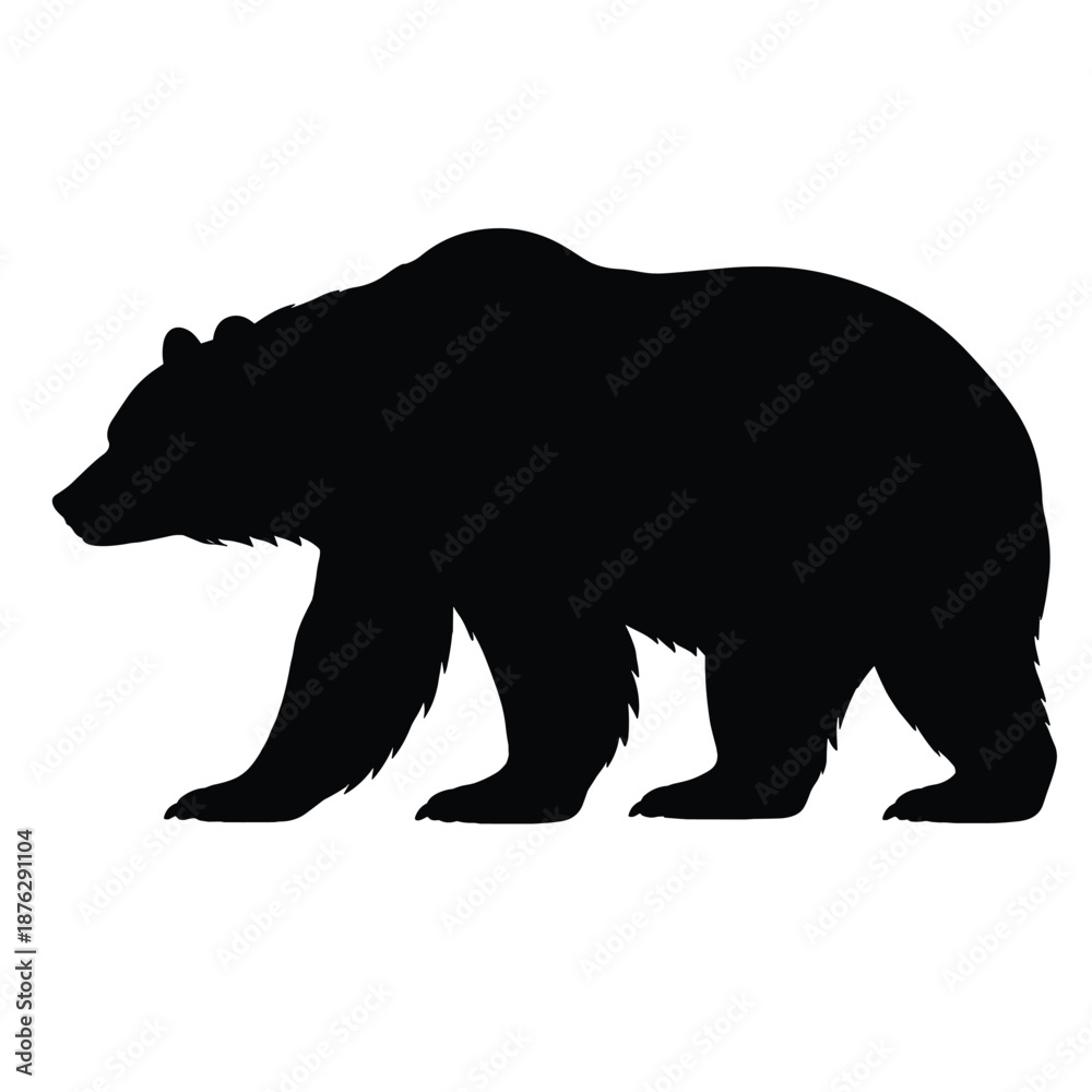 Fototapeta premium Silhouette of walking bear animal