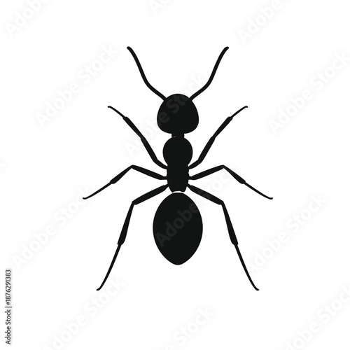 Black ant silhouette on white background